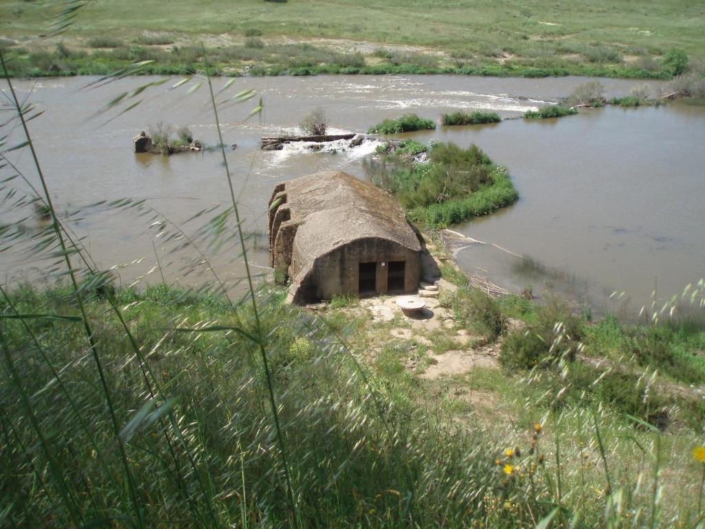 Casa De Pedrogao 게스트하우스 외부 사진